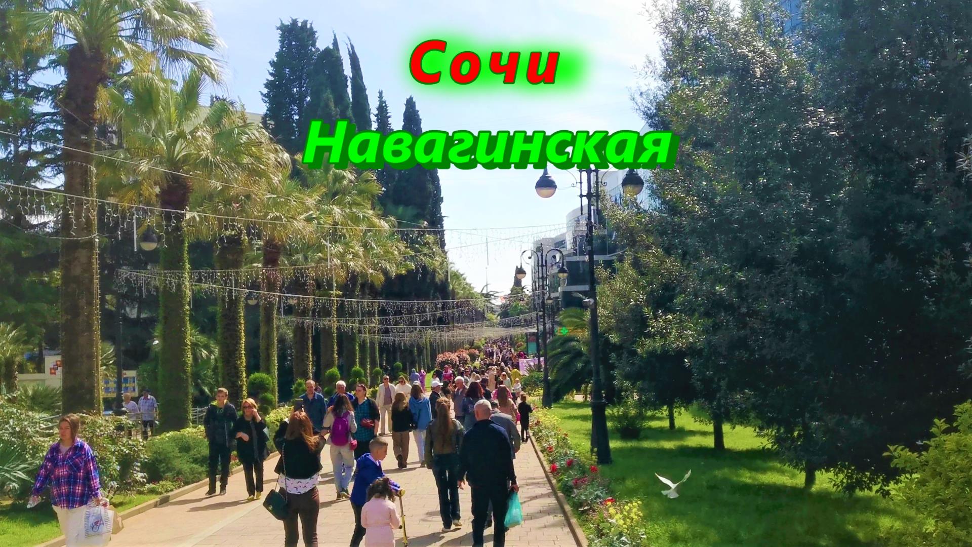 Навагинская в центре Сочи смотреть онлайн