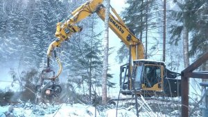 Зимний день в лесу. Работа Лесовоза. Комплекс пилит. #РаботаВодителем