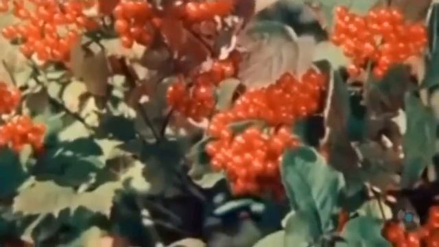 @ Strannik Слушаем сборник старых ,добрых,лирических песен 💕💕💕