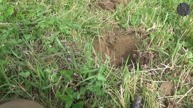 Старая деревня | Архив #коп #путешествия #находки смотреть онлайн