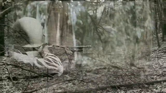 SamstaxX - love is a battlefield Reloaded смотреть онлайн