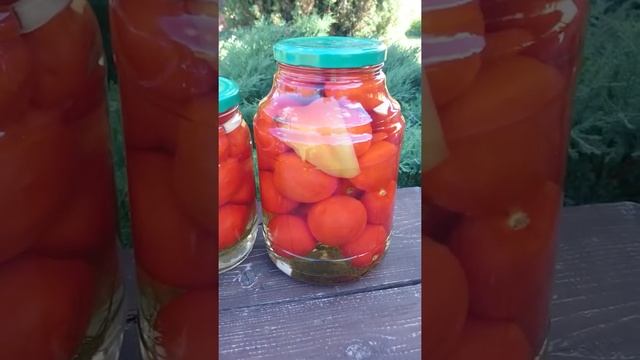 Olga Kuznetsova " Царские помидоры для цариц " маринованные помидоры " смотреть онлайн