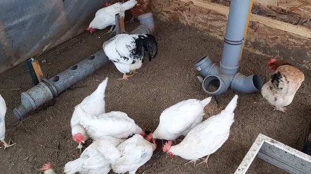 Стройка Современности