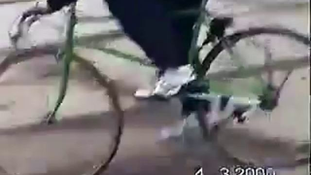 Велосипед без кручения педалей смотреть онлайн
