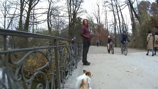 Энглишер Гартен в Мюнхене с точки зрения собаки. Englischer Garten, München. смотреть онлайн