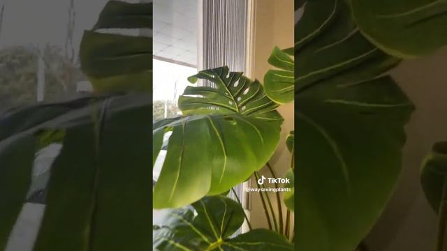 Faux plants смотреть онлайн