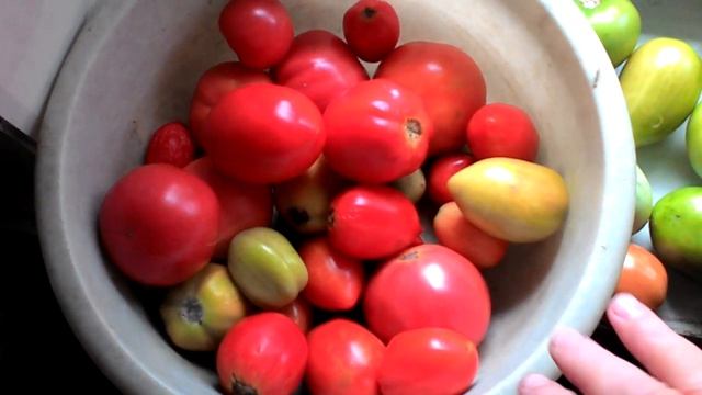 Фокус покус с томатами смотреть онлайн