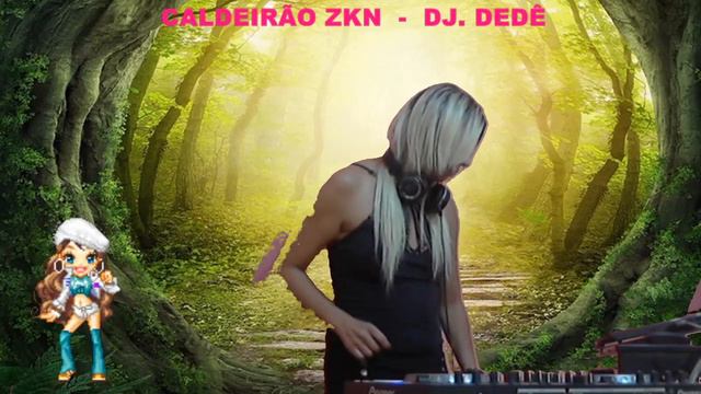 CALDEIRÃO ZKN - DJ DEDÊ & DJ SYLVINHO смотреть онлайн