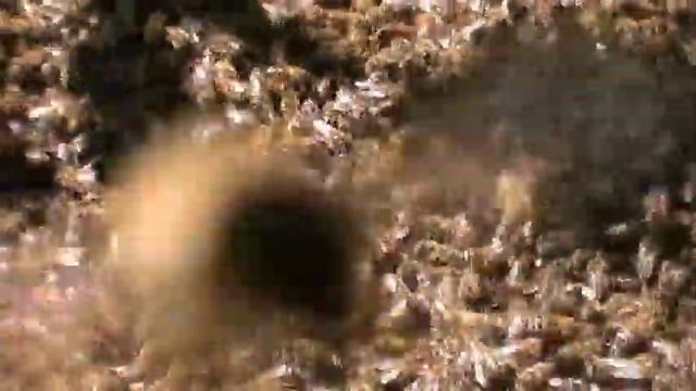 Роение. смотреть онлайн