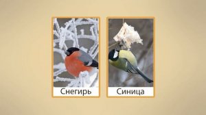 11 Как помочь птицам  Видеоурок по окружающему миру 1 класс