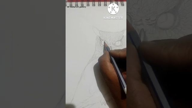 owl sketch my Instagram id https://instagram.com/mr_rahul.art.gallery?igshid=YmMyMTA2M2Y= смотреть онлайн
