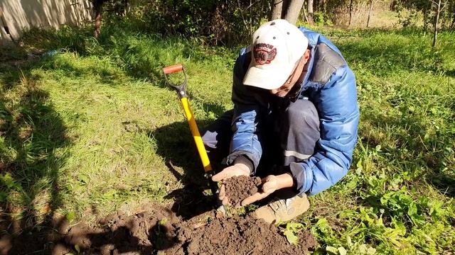 2 Вырос красивый камень (3).mp4 смотреть онлайн