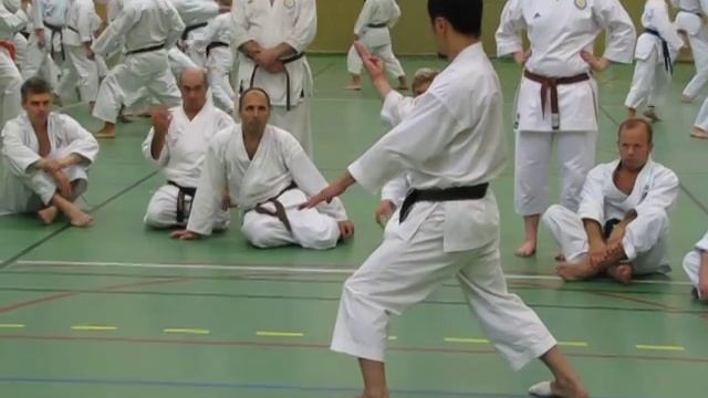 Yamaguchi-sensei demonstrates kata hangetsu смотреть онлайн