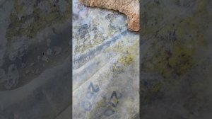 Безртутный градусник. Разбил. Как  ртуть на шарики распадается. Разница между ртутным и безртутный.