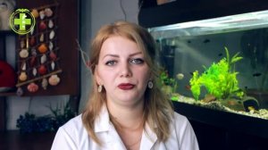 Чем кормить котенка