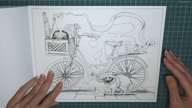 Вокруг света на велосипеде / Раскраска-антистресс / Обзор смотреть онлайн