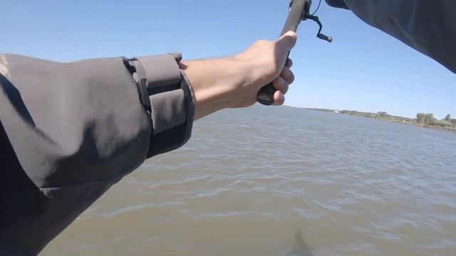 Осенняя рыбалка на ХИЩНИКА. Нашли ЩУКУ среди стаи леща. Сузун часть 2 смотреть онлайн