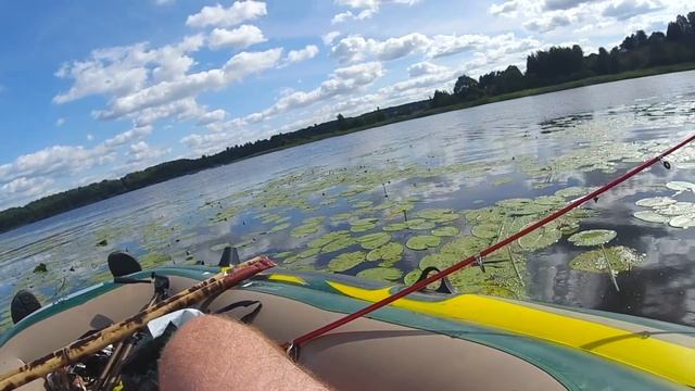 РЫБАЛКА НА ПЛОТВУ | СУПЕР КЛЁВ смотреть онлайн