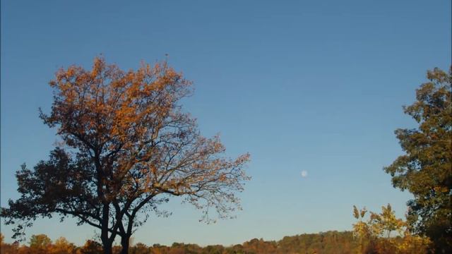 Moonset and Sunrise смотреть онлайн