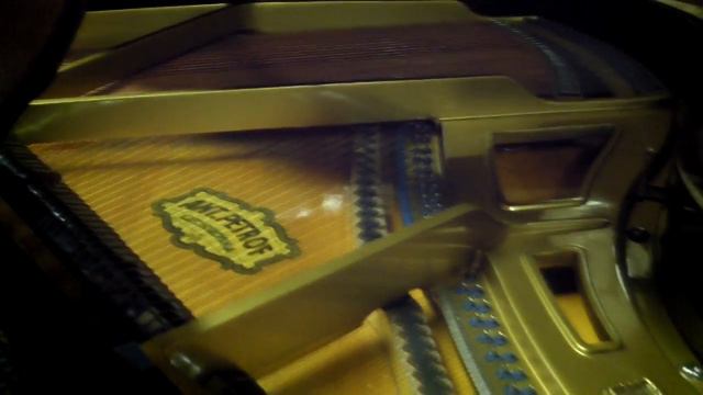 Petrof baby grand piano смотреть онлайн