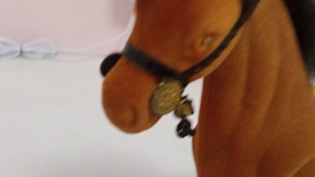 обзор на гнедого коня по кличке Мистраль обзоры