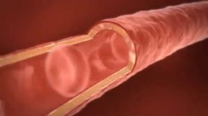 Чем полезен алоэ