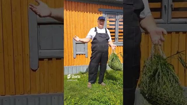 ВЛАЖНЫЕ МЕЧТЫ! МОШЕННИЦ В КУРОВОДСТВЕ! смотреть онлайн