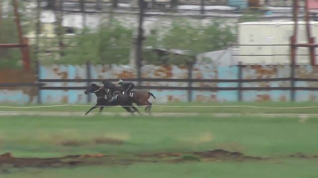 Тренинг скаковых лошадей. Дистанция 2400 м. Майн Кениг смотреть онлайн