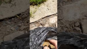 Делаем табачный плаг