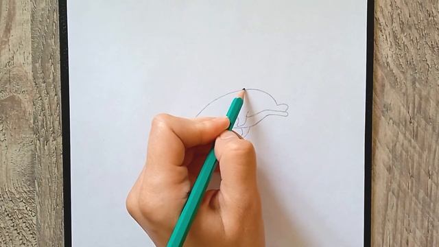 Как нарисовать дельфина смотреть онлайн