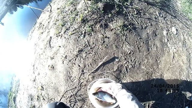 Межсезонье ... Ловля плотвы на речке весной (экспресс-рыбалка) Рыбалка 24 апреля 2015 смотреть онлайн