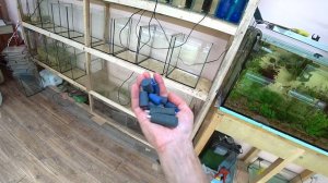 Крупные сомики на нерест и панда тоже