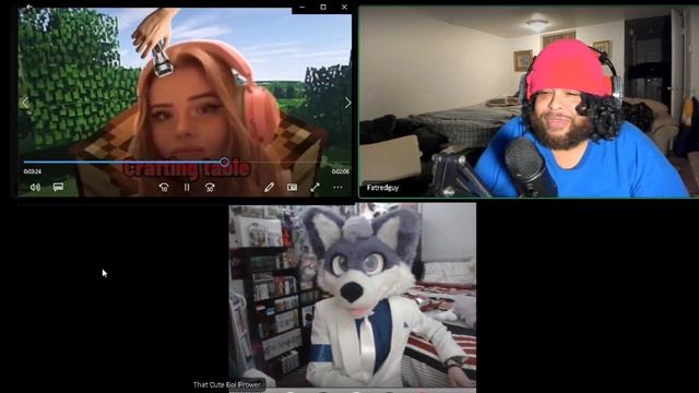 FURRY THAT PACKGOD ROASTED REACTS TO Packgod vs OnlyFans Girl смотреть онлайн