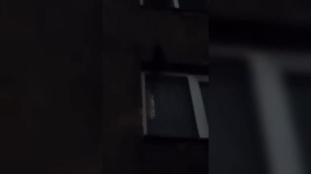 Олег Монгол решил проучить Пашу и Иришку/ Олег Монгол Сорвался и выпил рюмку/Безумный Паша/Иришка