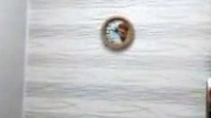 заклинание как стать русалкой