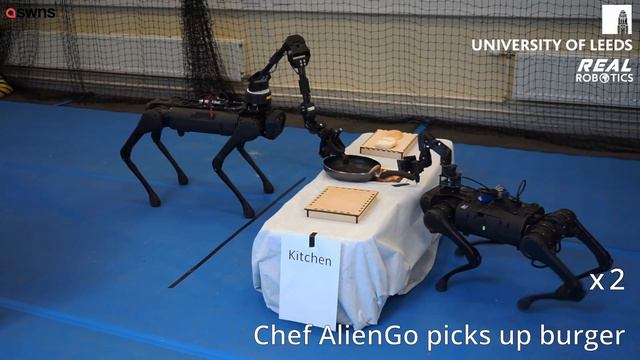 Pair of robot dogs work together to cook burger | SWNS смотреть онлайн