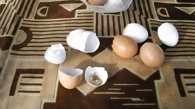 ДОМАШНЕЕ УДОБРЕНИЕ УДОБРЕНИЕ ИЗ ЯИЧНОЙ СКОРЛУПЫ БОРЬБА С МЕДВЕДКОЙ И КАПУСТНИЦЕЙ смотреть онлайн