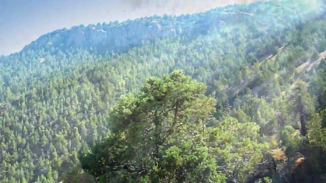 Zaamin (Заамин) смотреть онлайн