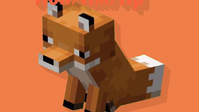 Котейка ﹥:)