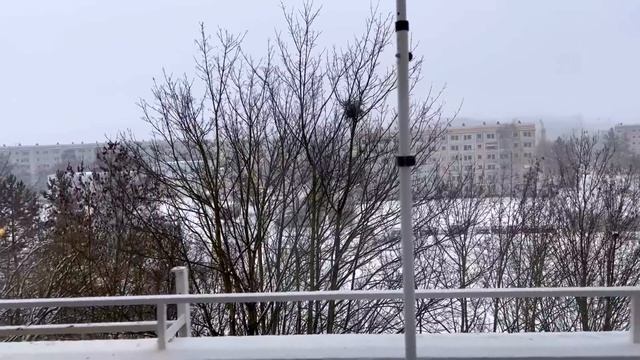 Отпраздновали день рождения Андрюши смотреть онлайн