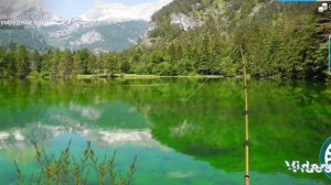В поисках европейского ряпушка часть 2 (my fishing world)