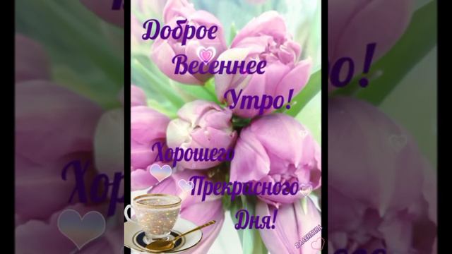 🌷 С Добрым Весенним Утром ☕🍫 Хорошего Прекрасного Дня 💐💗🌞💯