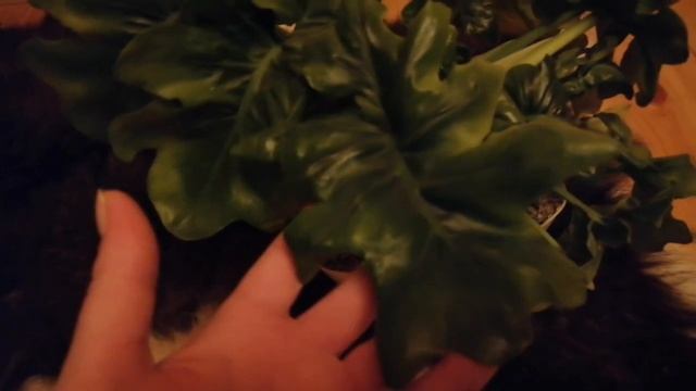 Весь мой дом в Цветах! смотреть онлайн