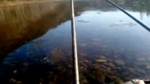 Болотоход по мелям