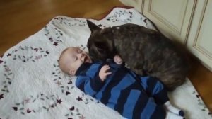Ребенок и французский бульдог! French Bulldog and Baby