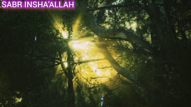 Очень красивая Арабская Нашид. Аҳмад Аль Мукит _ أفضل صوت على الإطلاق смотреть онлайн