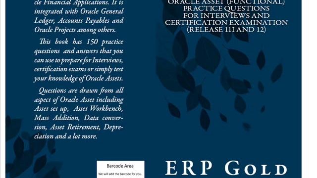 ERP GOLD - ORACLE FINANCIAL AND BEHAVIORAL INTERVIEW QUESTIONS.wmv смотреть онлайн