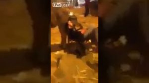 Корова насрала на спящего парня.