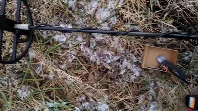 Металлоискатель Мангуст с ДД-30, кольцо - 50 см. смотреть онлайн