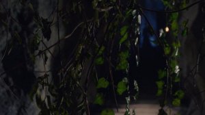 Восточная одиссея 1 сезон 1 серия